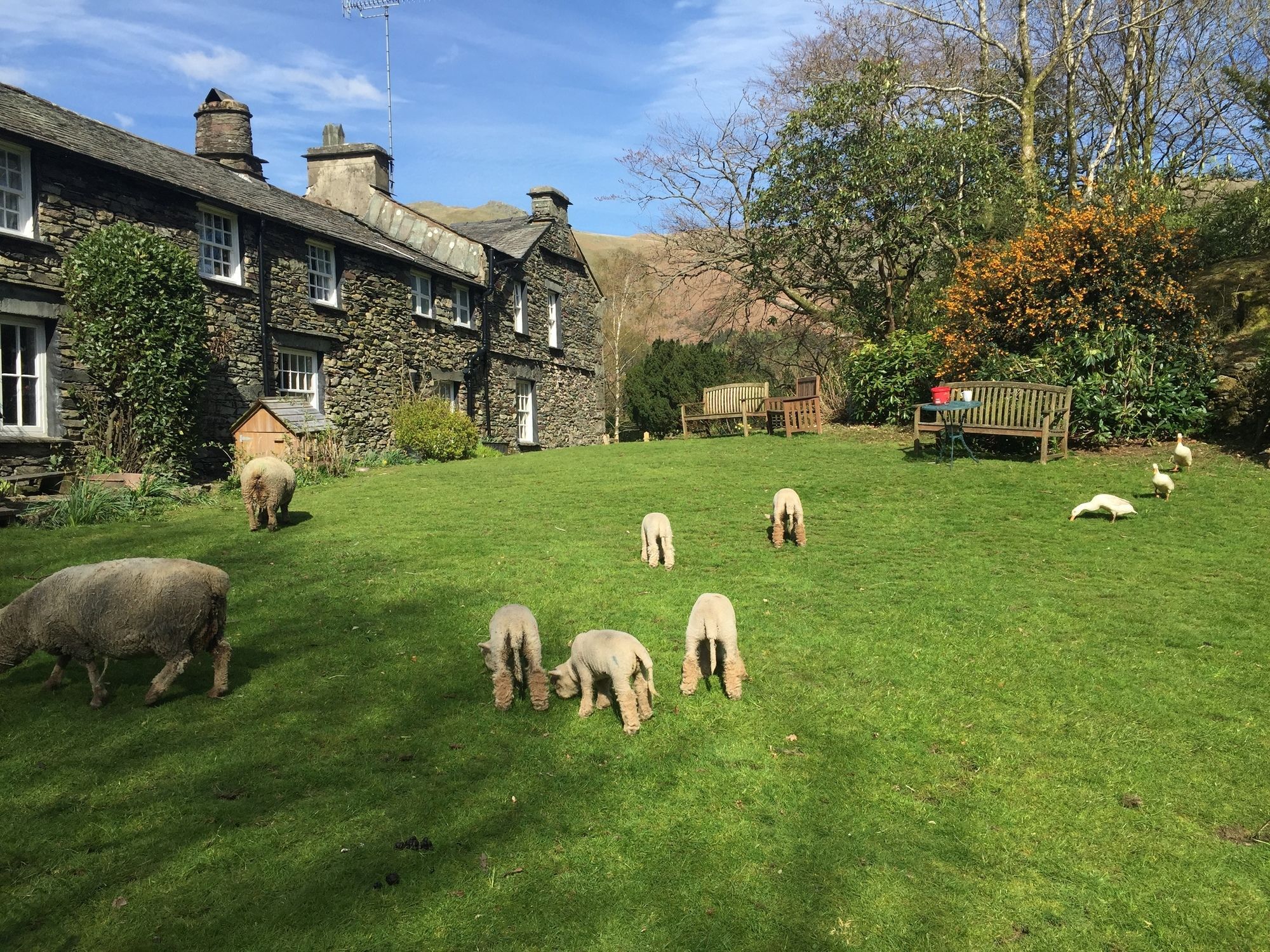 Thorney How Hotel Ambleside Exterior photo